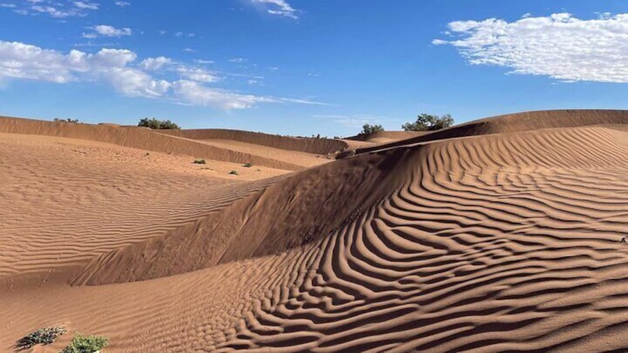 The wind, true desert artist