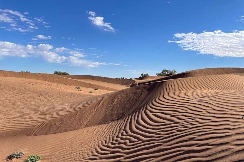 The wind, true desert artist
