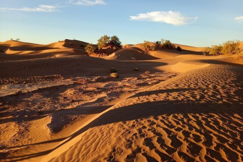 The setting sun on the dunes