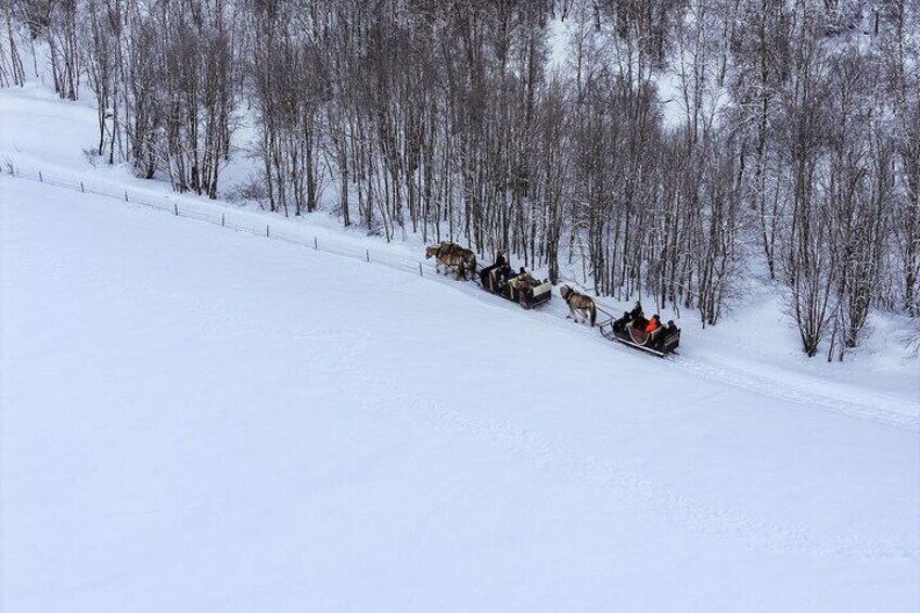 Sleigh Ride w/ snacks - Experience Arctic Farm Life