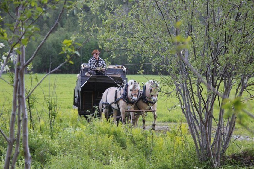 Omdal farm also offer sleigh rides in summer time.
