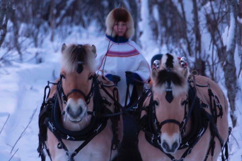 Our sleigh rides are are around 30-40 minutes long.