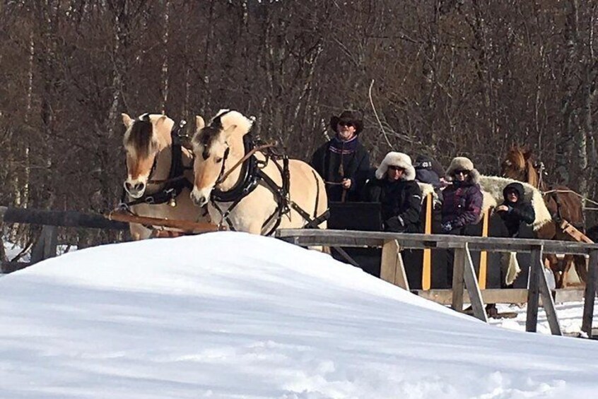 Sleigh ride during winter time. 