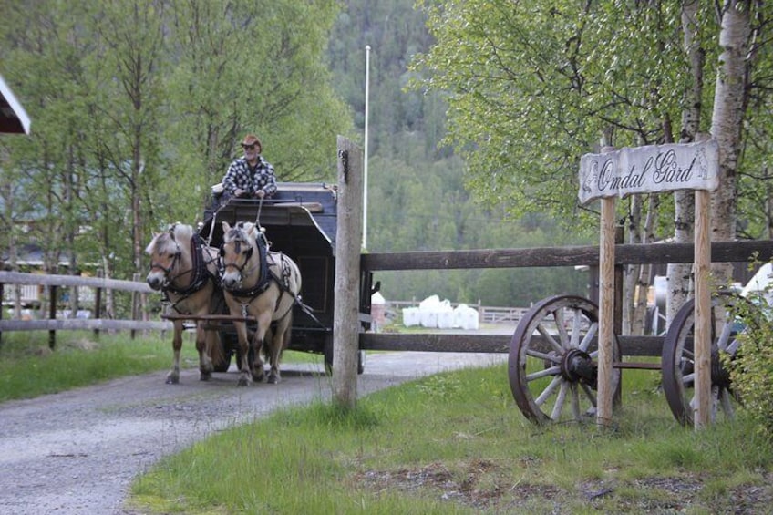 Omdal farm also offer sleigh rides in summer time. 