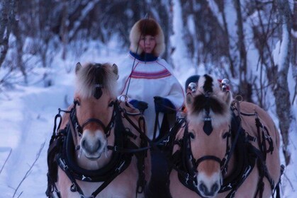 Sleigh Ride w/ Tapas Meal - Experience Arctic Farm Life