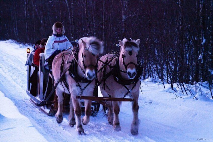 Sleigh ride during winter time. 