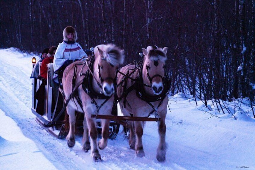 Sleigh ride during winter time.