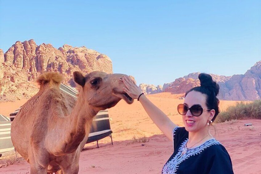 Running into some camels, they are the sweetest, and great for pictures!