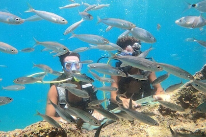 Antalya Scuba Diving with Bout Tour