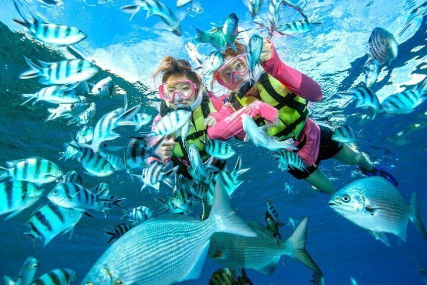 Easily set sail by boat! / Blue cave snorkel