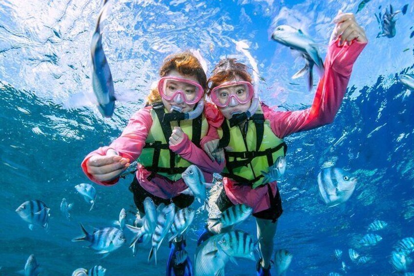 Easily set sail by boat! / Blue cave snorkel