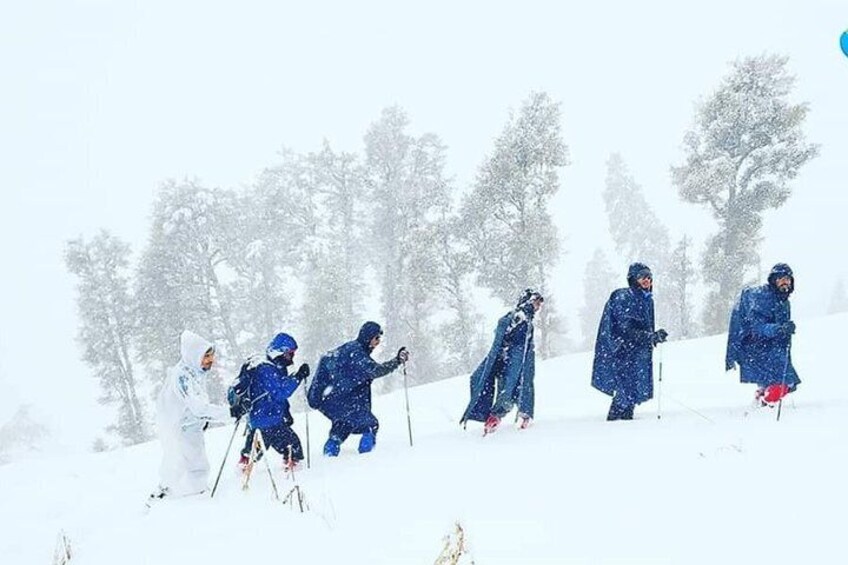 Snow Trek