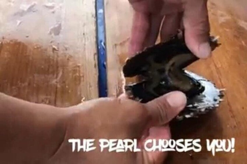 Show item 4 of 10. tahiti iti pearl farm - La Ferme Perlière Touristique