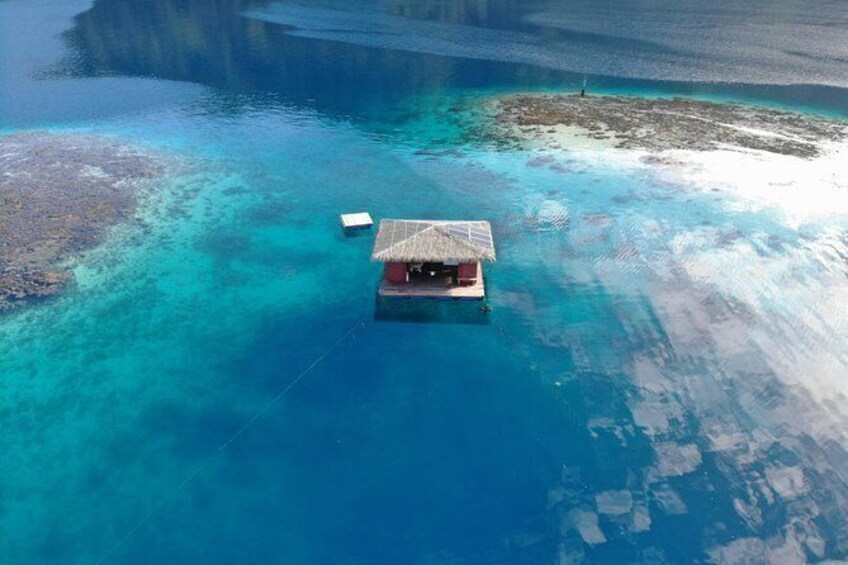 Show item 1 of 10. tahiti iti pearl farm - La Ferme Perlière Touristique