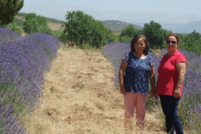 Lavander fields and Salda lake from Antalya