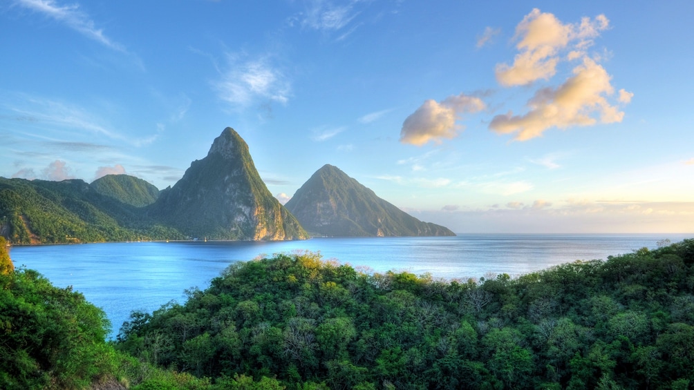 Lush forest with water and the Pitons in the distance in Saint Lucia