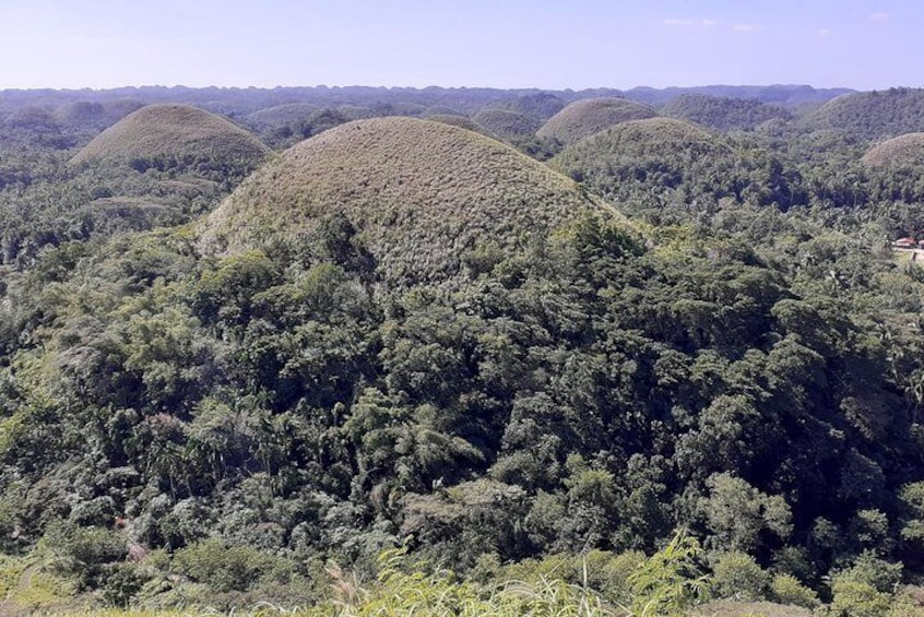 Visayas 4 Islands: Cebu, Bohol, Panglao and Balicasag