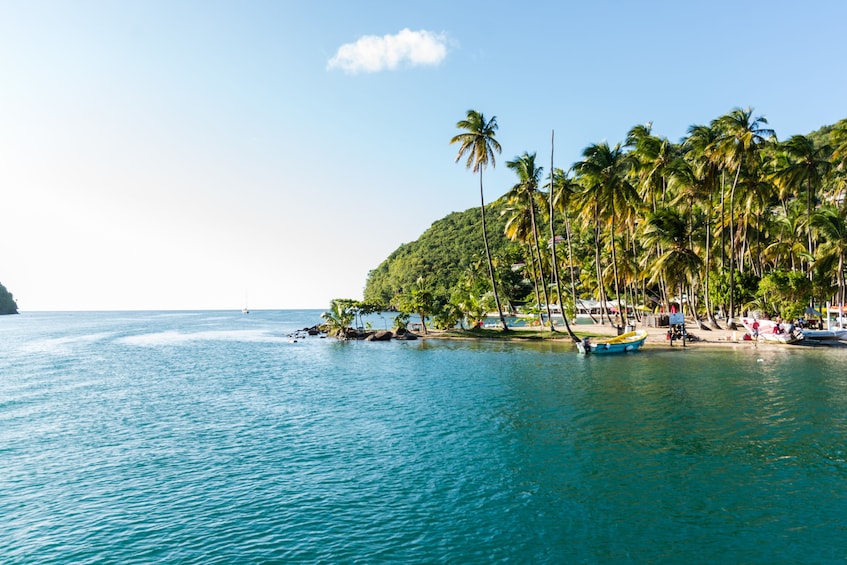 Catamaran Sunset Cruise
