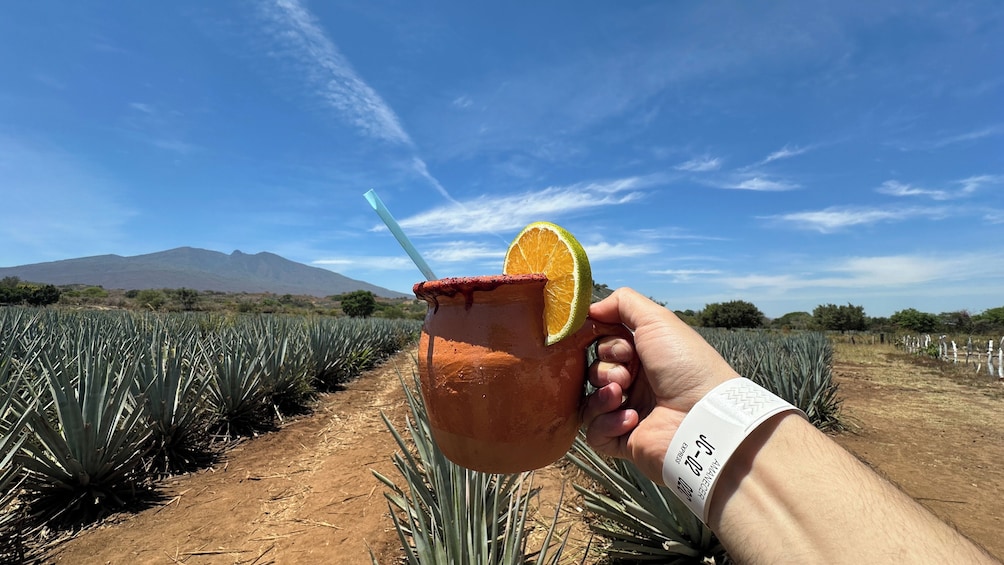 Tequila tour with Distillery and upgrade to Jose Cuervo