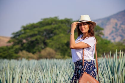 Tour de tequila con destilería y ascenso a José Cuervo