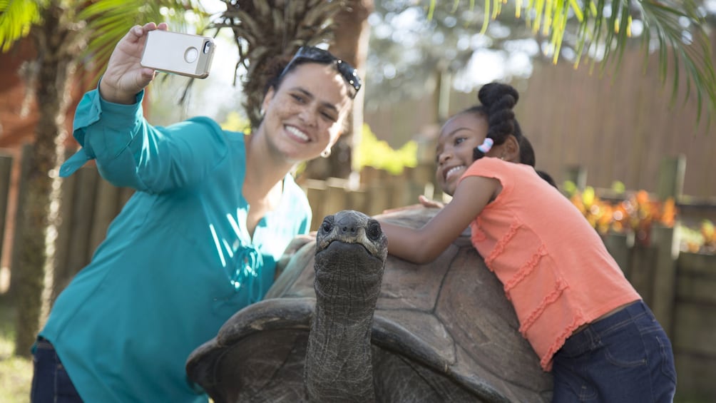 Show item 2 of 9. Tampa Bay CityPASS: Admission to Top 5 Tampa Attractions