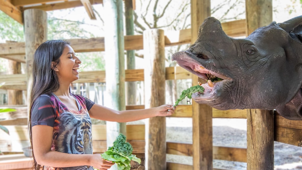 Show item 4 of 9. Tampa Bay CityPASS: Admission to Top 5 Tampa Attractions