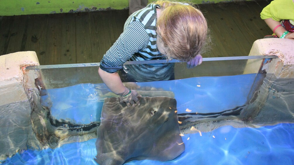 Tampa Bay CityPASS: Admission to Top 5 Tampa Attractions