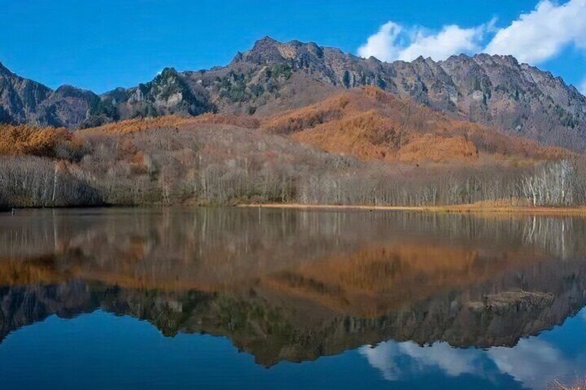 Togakushi Shrine Hiking Trails Tour in Nagano