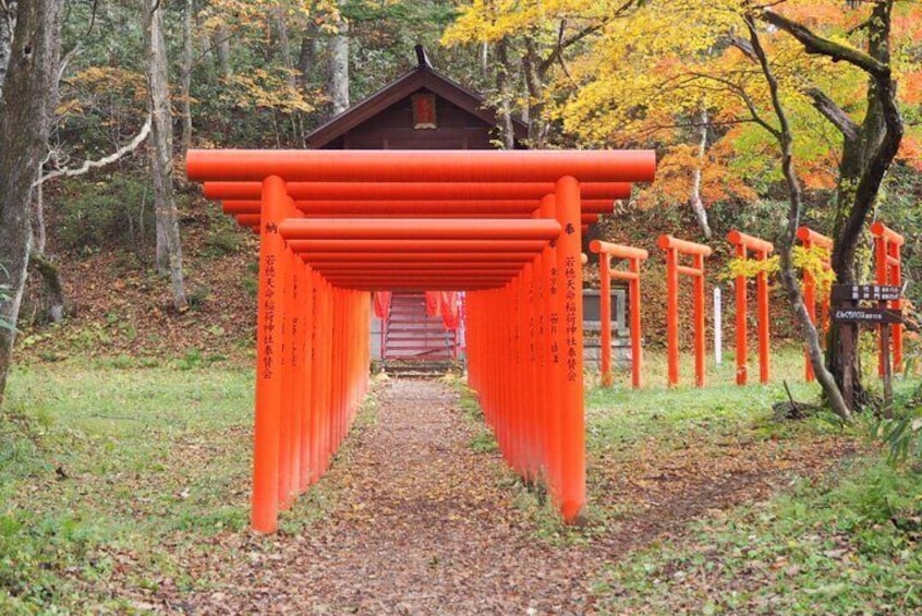 Togakushi Shrine Hiking Trails Tour in Nagano
