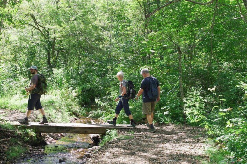 Togakushi Shrine Hiking Trails Tour with Soba in Nagano