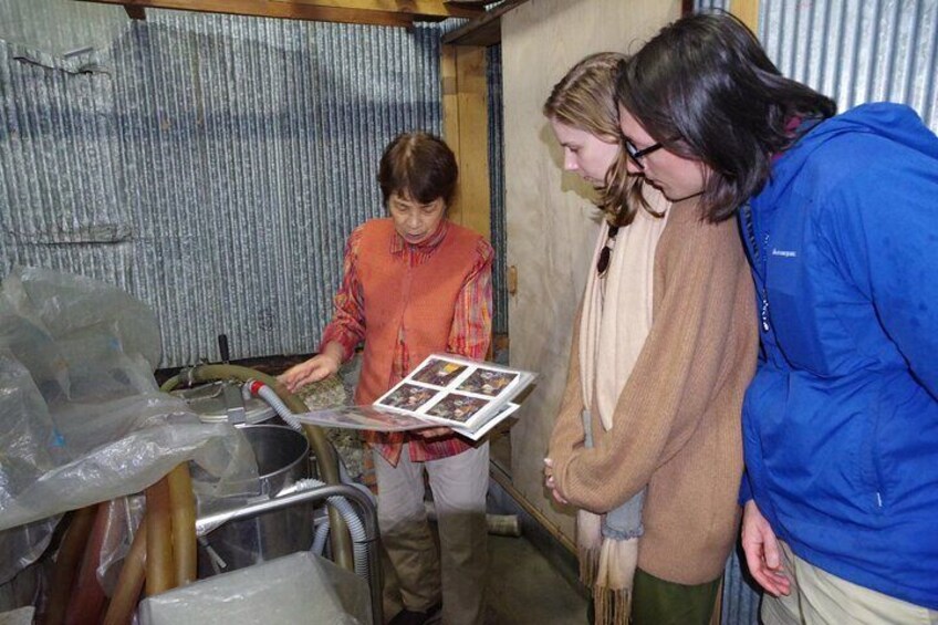 Matsumoto Castle, Sake & Food Walking Tour in Nagano