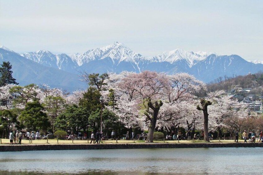 Matsumoto Castle, Sake, Food & Craft Beer Walking Tour