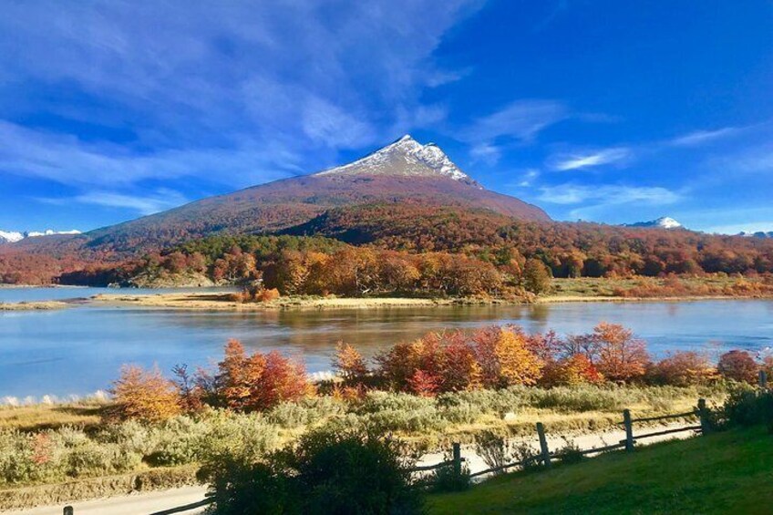 Cerro Condor and Rio Lapataia
