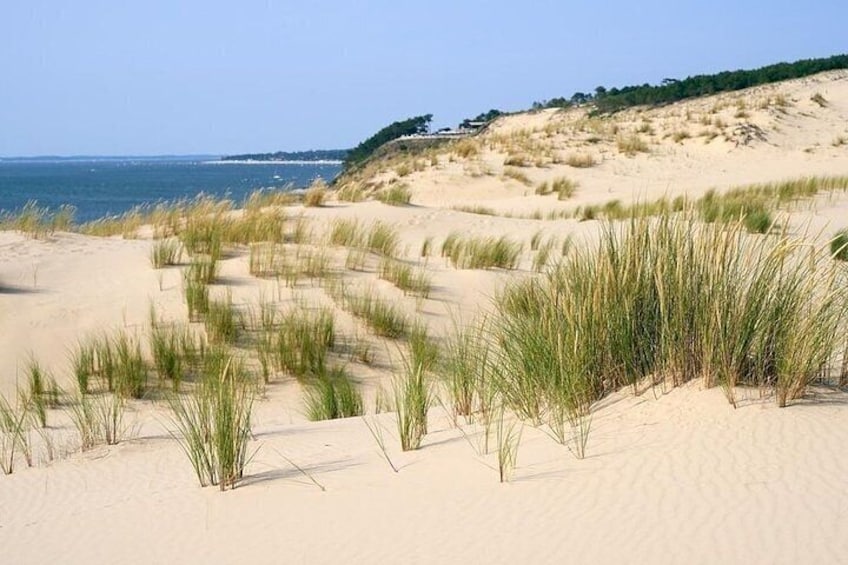 Dune of Pilat, Oysters and Arcachon ! What else?