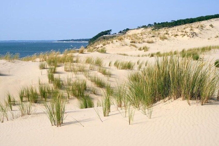 Dune of Pilat, Oysters and Arcachon ! What else?
