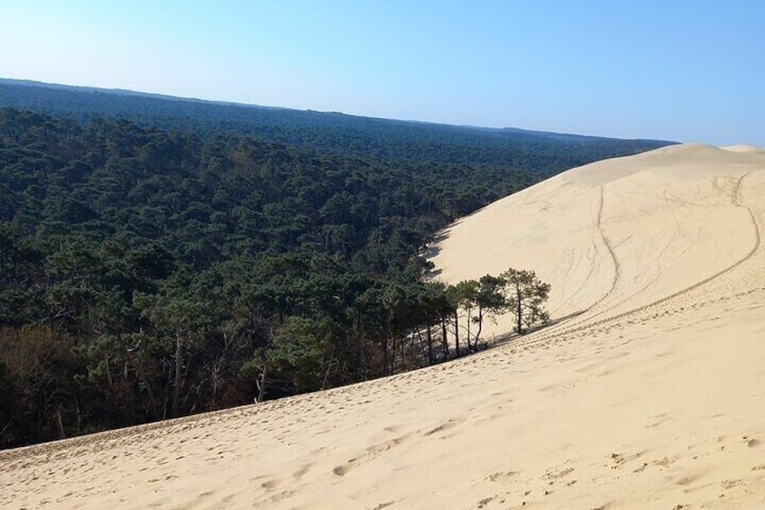 Dune of Pilat, Oysters and Arcachon ! What else?