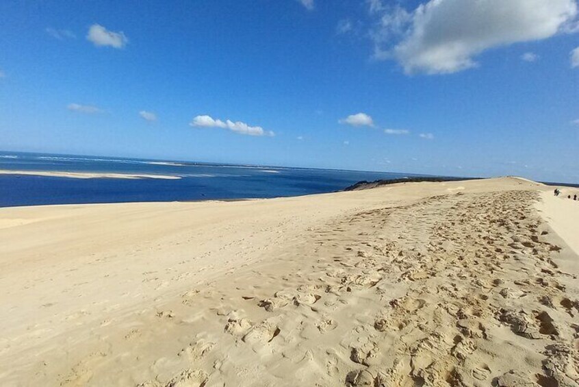 Dune du Pilat and Oysters Tasting in only 1 hour away from Bordeaux ! What else?