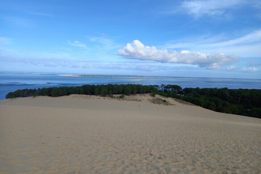 Dune du Pilat and Oysters Tasting in only 1 hour away from Bordeaux ! What else?