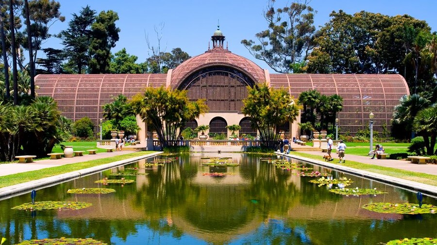 The San Diego 3-Hour Semi-Private Tour