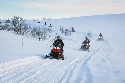 Snowmobile safari in the mountain plateau of Finnmarksvidda