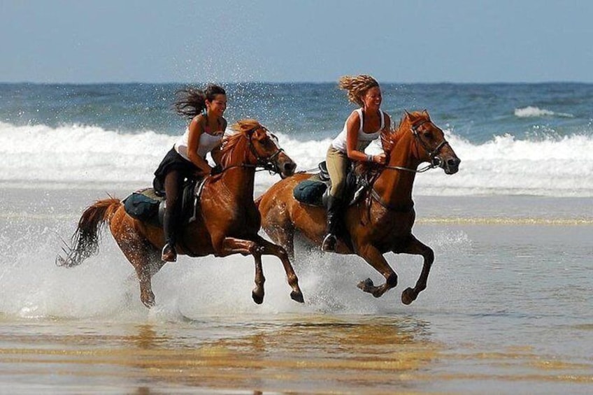 Horse riding Agadir