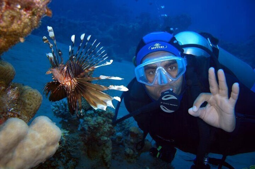 Scuba Diving in Alanya