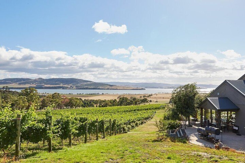 West Tamar Wine Tour