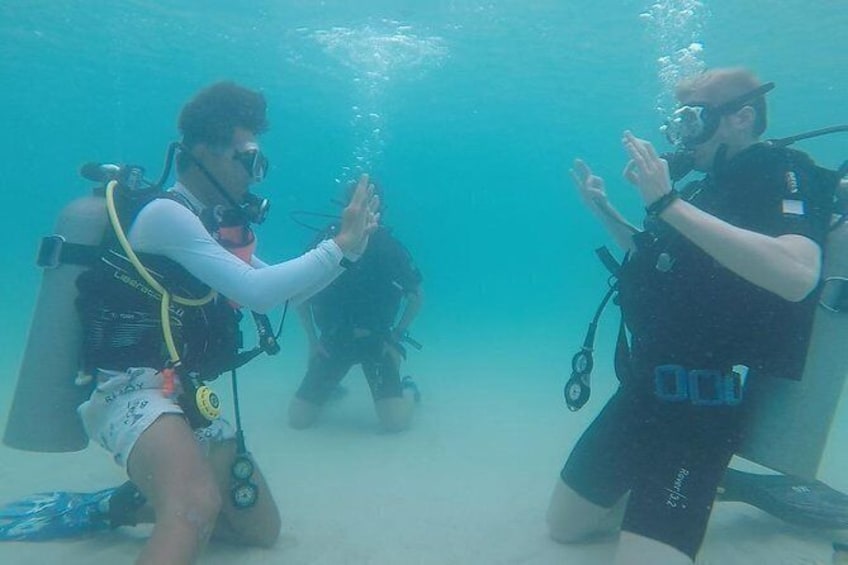 Basic Diver
