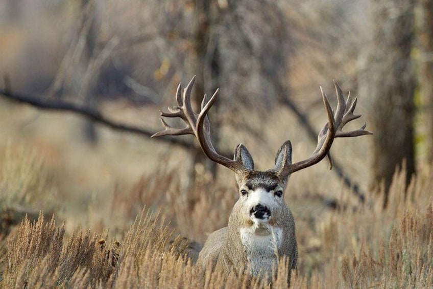 Photo by Daryl Hunter