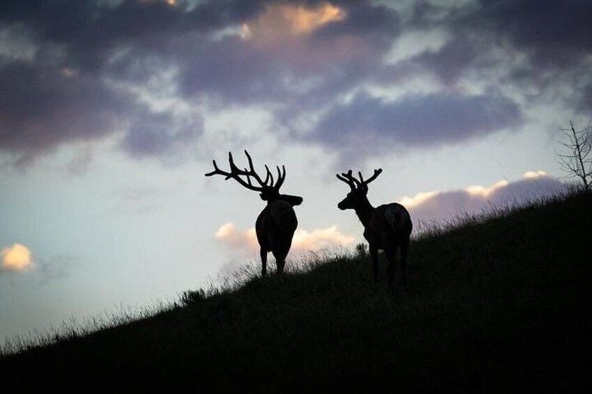  Photo by Loren Davis