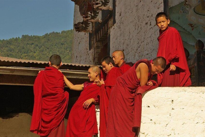 Druk Path Trek with Three Days Cultural Tour in Bhutan