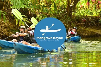 Monkey Mangrove Kayak at Nacarcosta