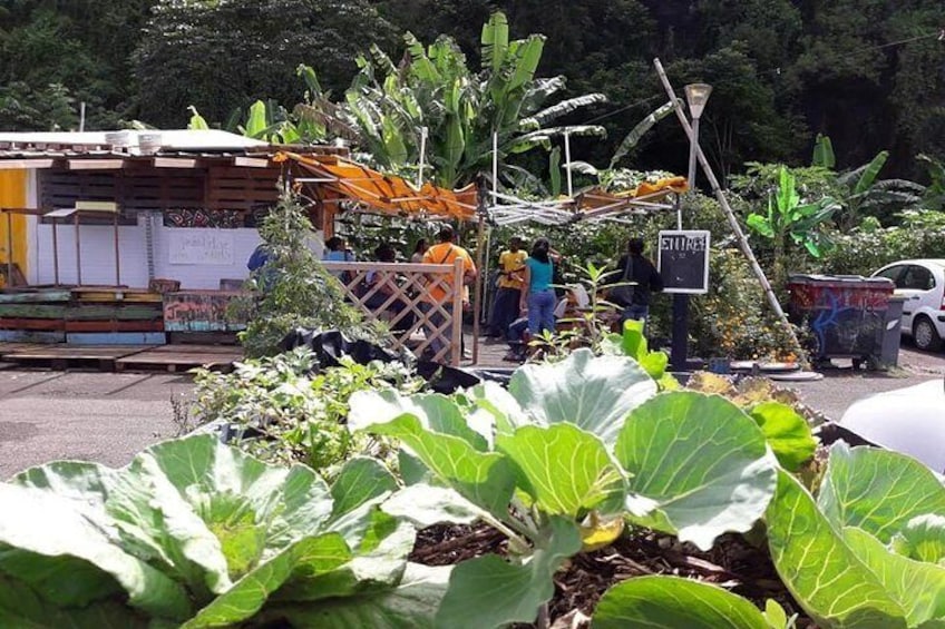 Visit of the Trénelle Citron experimental shared urban garden