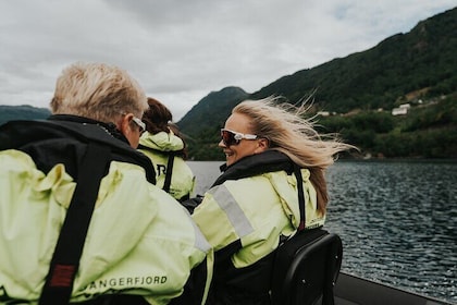 Hardangefjord exclusive & private RIB adventure from Øystese